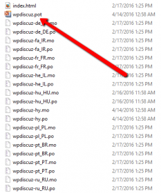 wpDiscuz POT file
