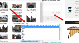 wpDiscuz Media Uploader image file filter